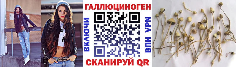 Псилоцибиновые грибы Psilocybine cubensis купить закладку hydra маркетплейс Строитель